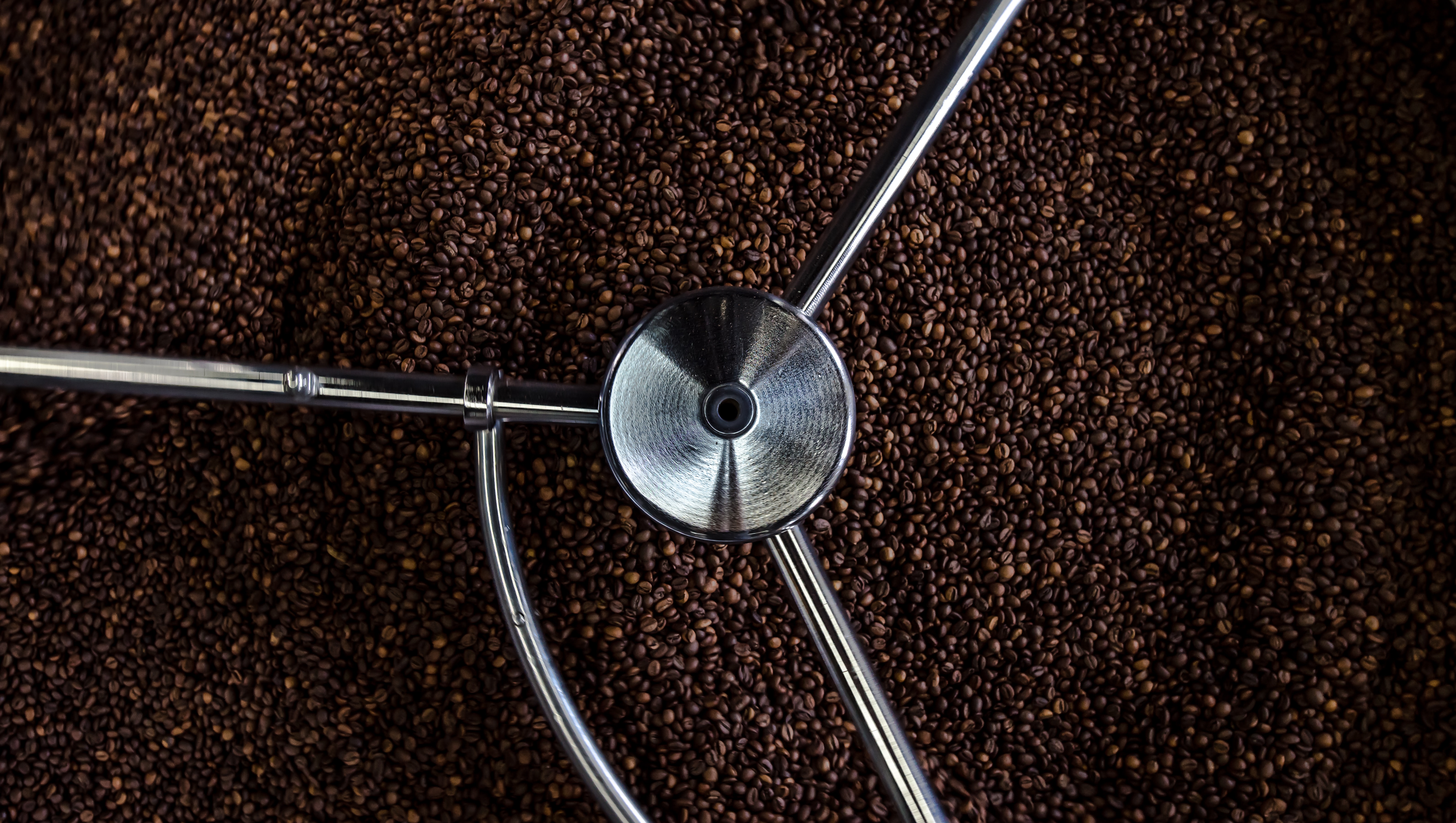 vladimir-proskurovskiy-aaHwnxgBmHs-unsplash